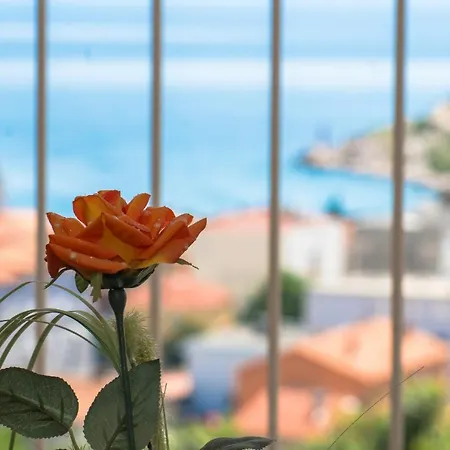 Excellent Center Location Apt Anikka Apartment