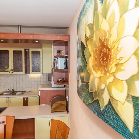 Apartment Excellent Center Location Apt Anikka Makarska